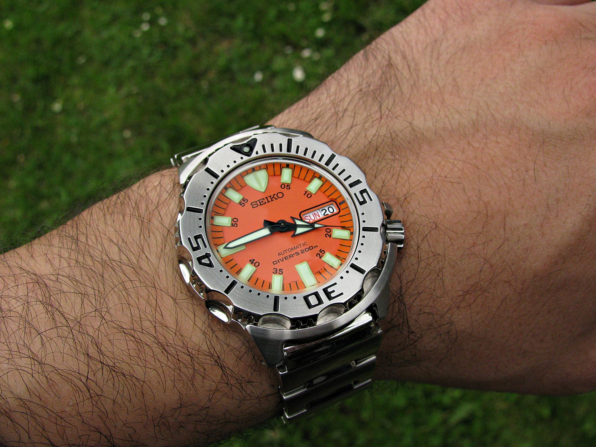 Naziv: IMG_6980 ....jpg, pregleda: 155, veličina: 394,1 KB