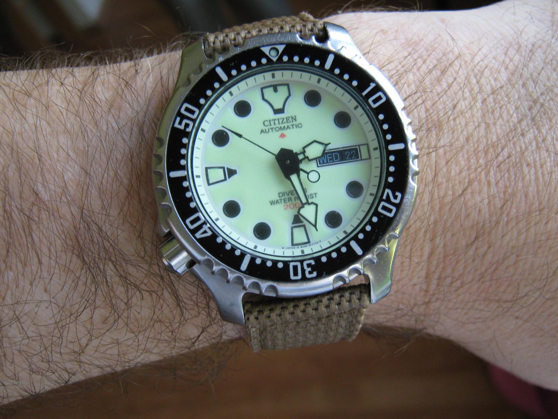 Naziv: IMG_1889.jpg, pregleda: 170, veličina: 302,7 KB