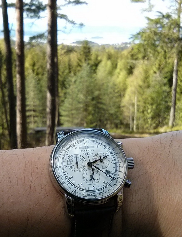 Naziv: zeppelin u sumi.jpg, pregleda: 195, veličina: 171,7 KB