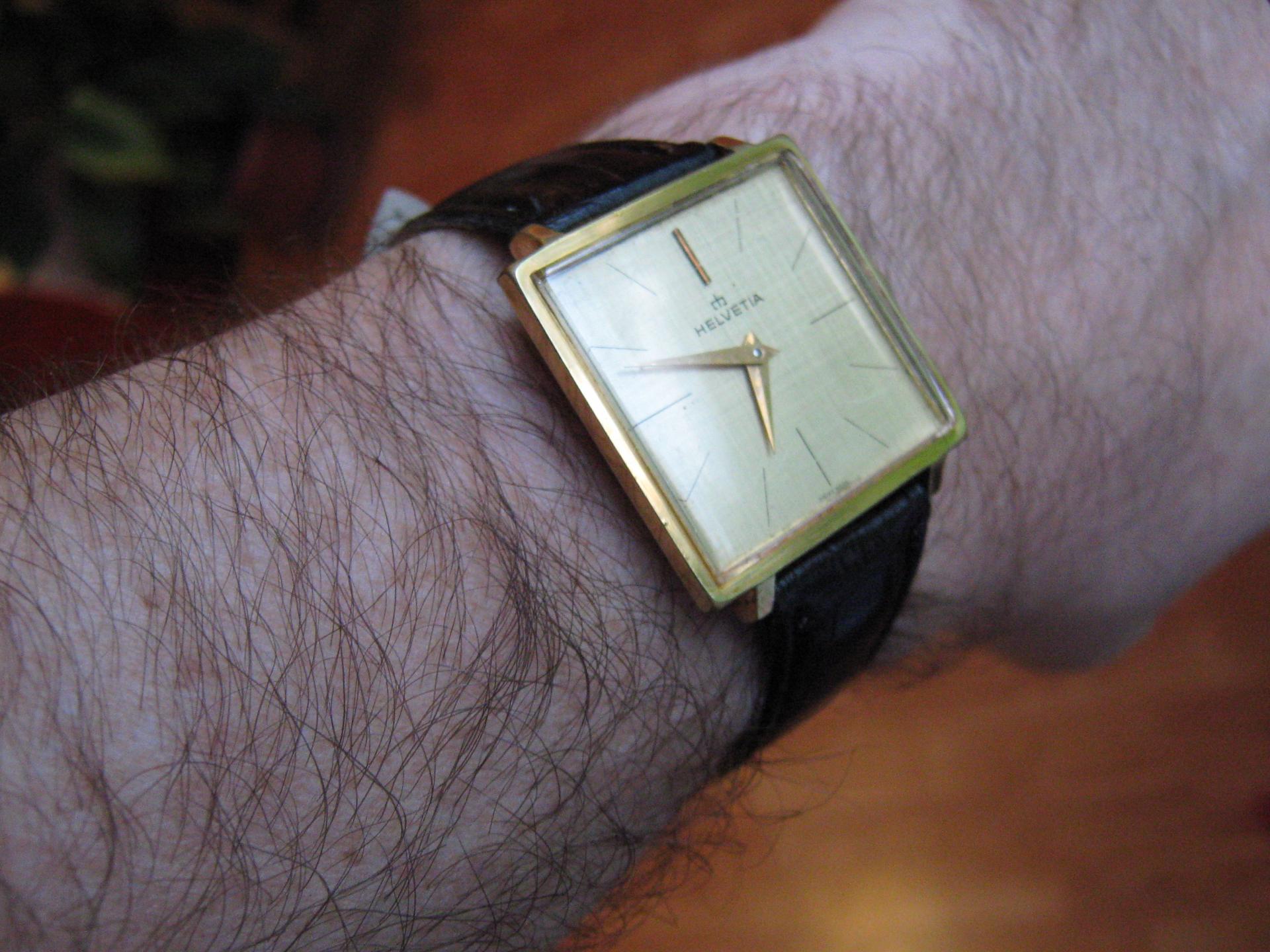 Naziv: IMG_1917.jpg, pregleda: 187, veličina: 289,7 KB