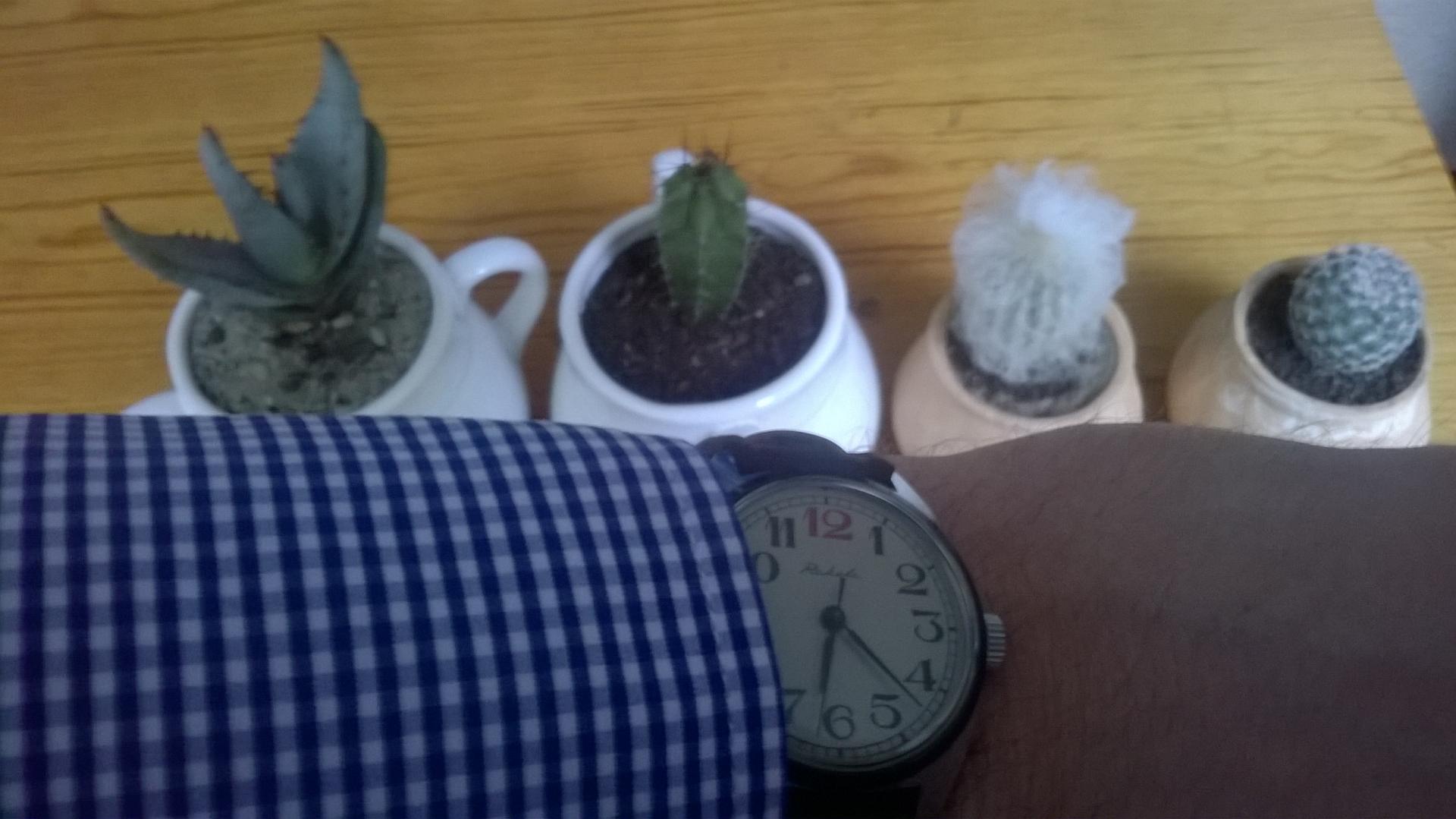 Naziv: WP_20140502_003.jpg, pregleda: 164, veličina: 156,1 KB