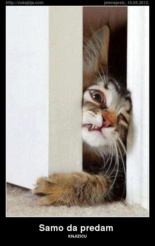 Naziv: samo-da-predam.jpg, pregleda: 2793, veličina: 52,2 KB