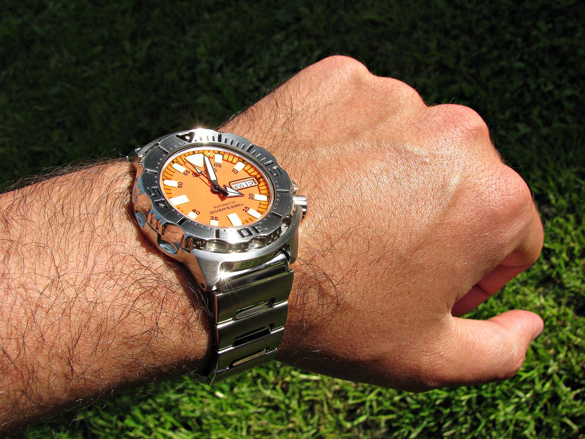 Naziv: IMG_7409 ....jpg, pregleda: 237, veličina: 488,4 KB