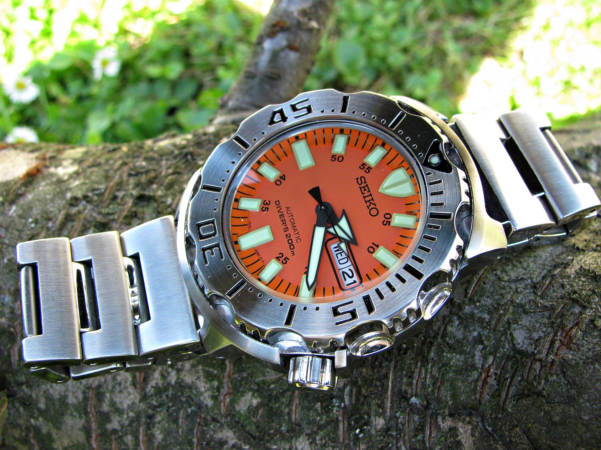 Naziv: IMG_7528 ....jpg, pregleda: 168, veličina: 452,3 KB