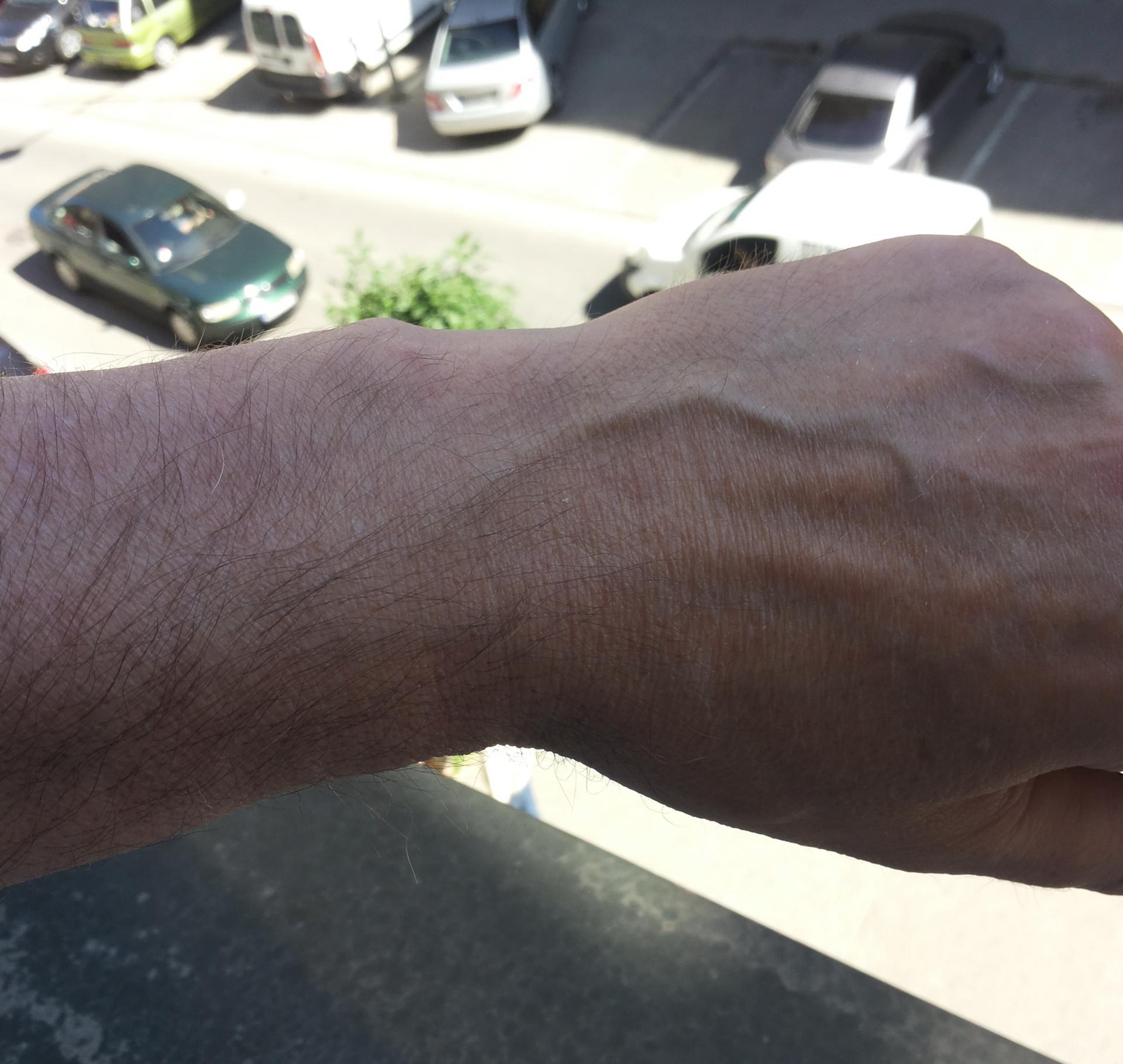 Naziv: 20140528_095245.jpg, pregleda: 162, veličina: 253,4 KB