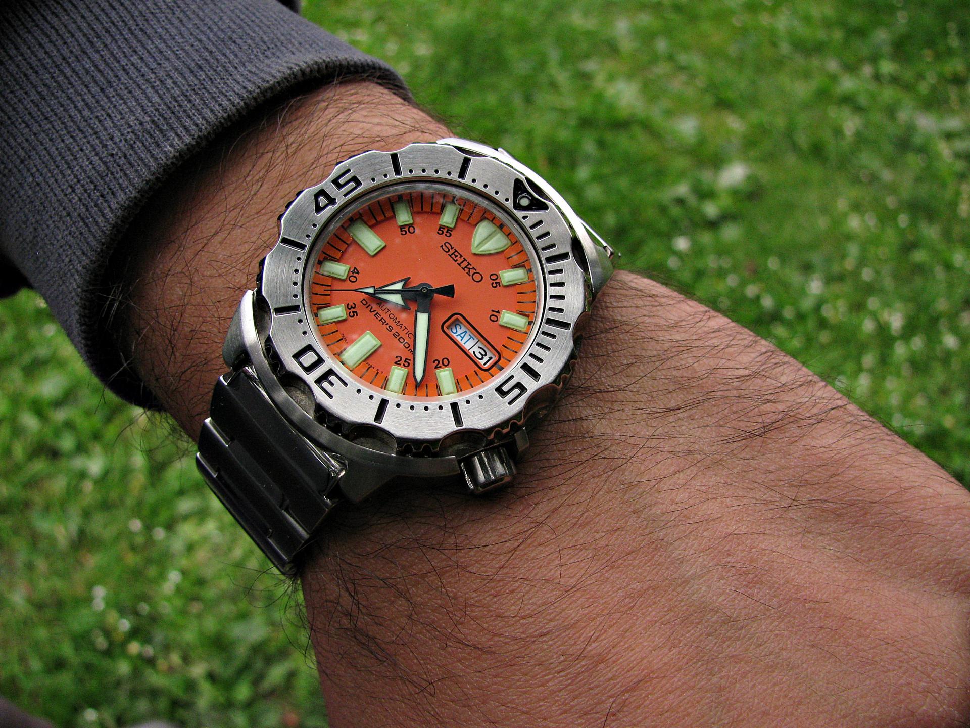 Naziv: IMG_7698 ....jpg, pregleda: 141, veličina: 452,2 KB