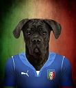 World cup 2014 - Brazil-italija.jpg