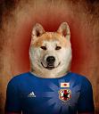World cup 2014 - Brazil-japan.jpg