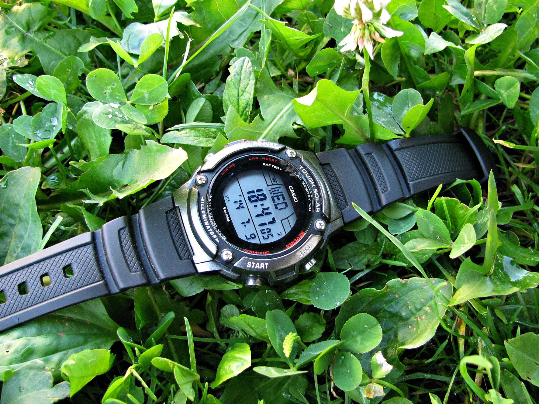 Naziv: IMG_8392 ....jpg, pregleda: 159, veličina: 497,8 KB