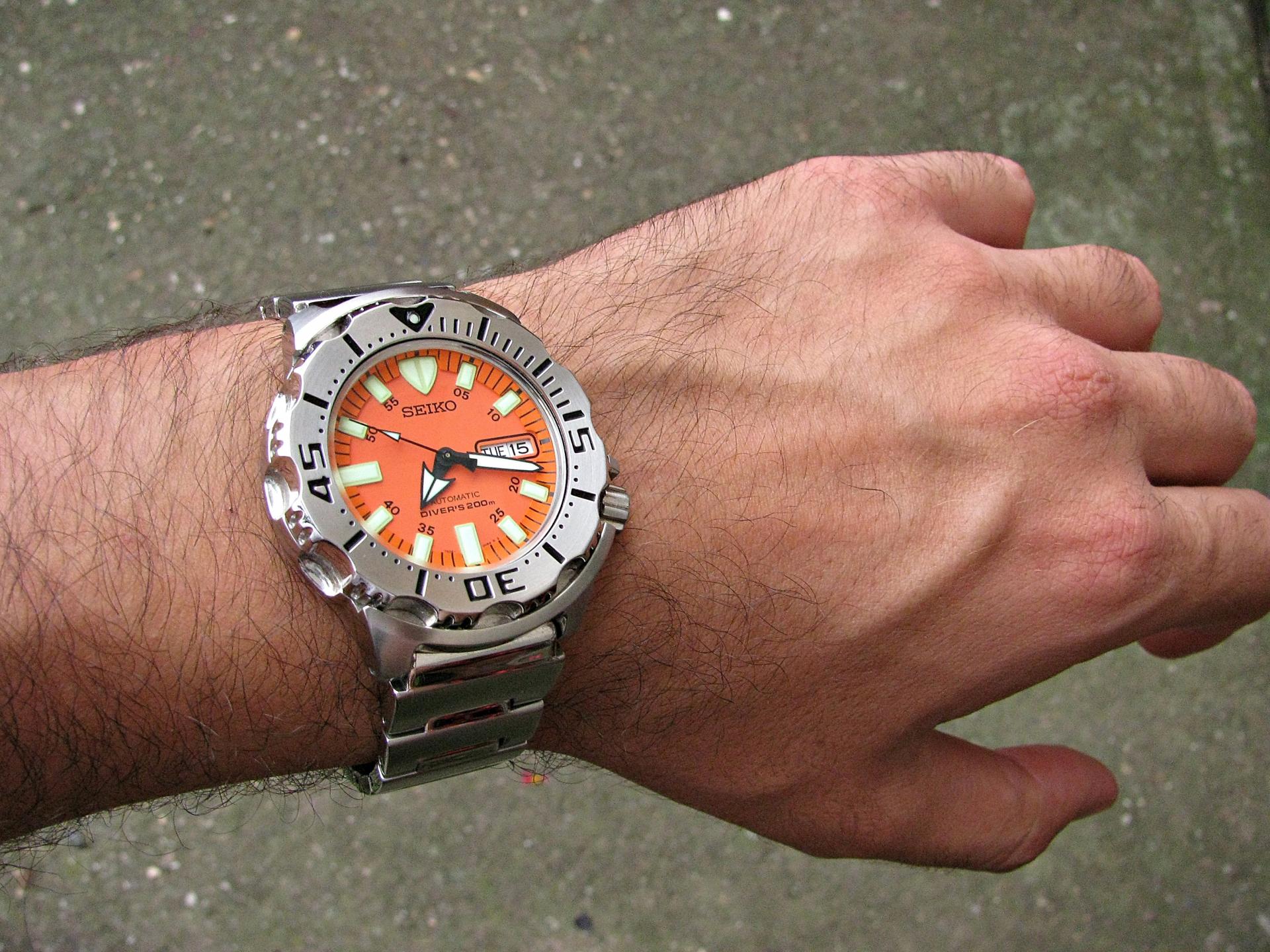 Naziv: IMG_8444 ....jpg, pregleda: 164, veličina: 421,2 KB