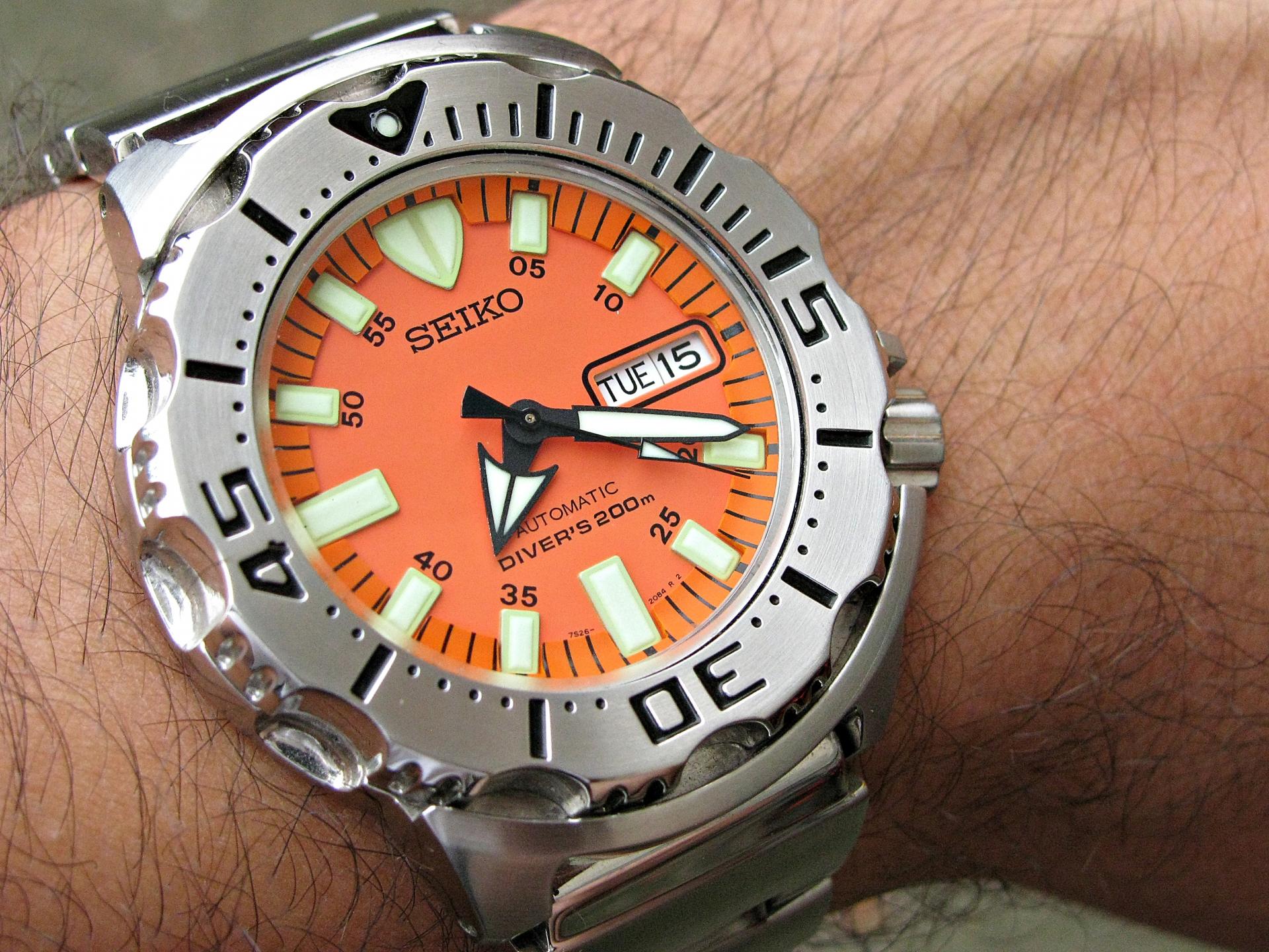 Naziv: IMG_8451 ....jpg, pregleda: 155, veličina: 427,0 KB