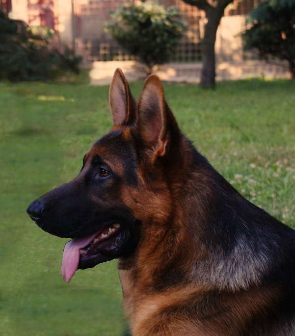 Naziv: za mobitel.jpg, pregleda: 384, veličina: 130,9 KB