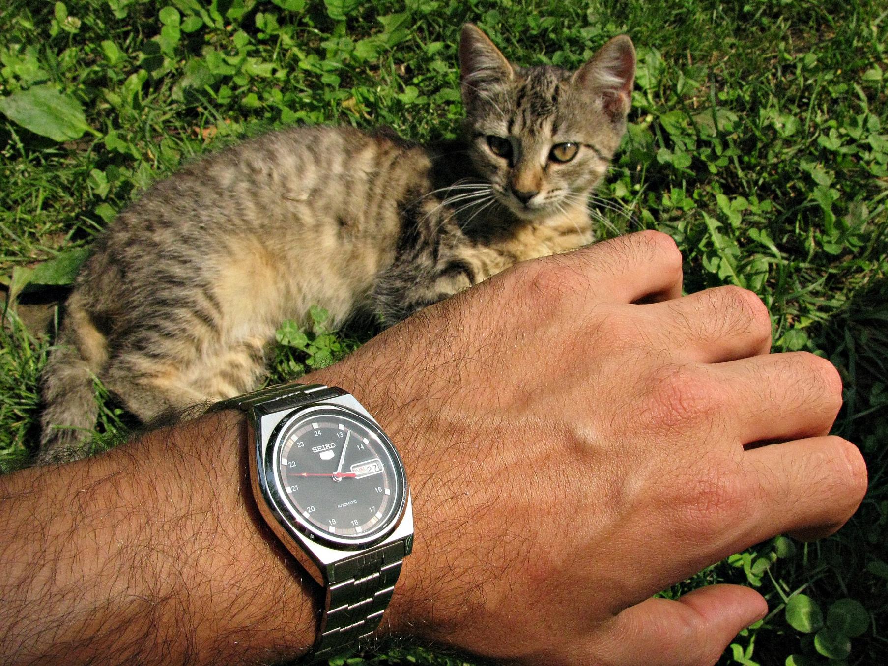 Naziv: IMG_8648 ....jpg, pregleda: 188, veličina: 490,3 KB