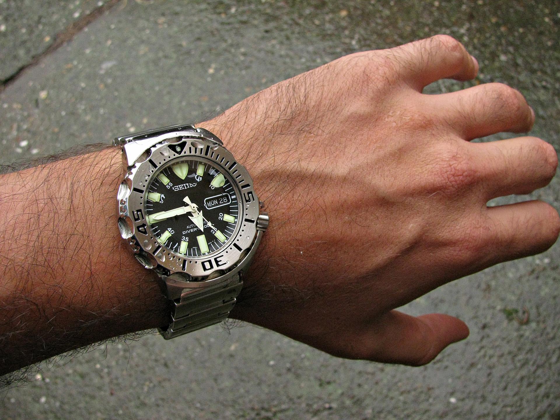 Naziv: IMG_8654 ....jpg, pregleda: 187, veličina: 427,5 KB