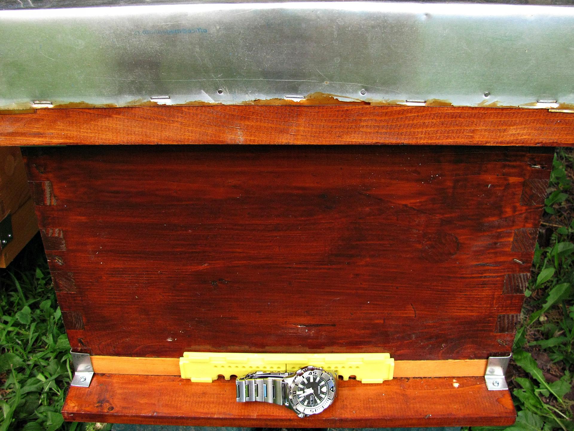 Naziv: IMG_8753 ....jpg, pregleda: 199, veličina: 426,4 KB