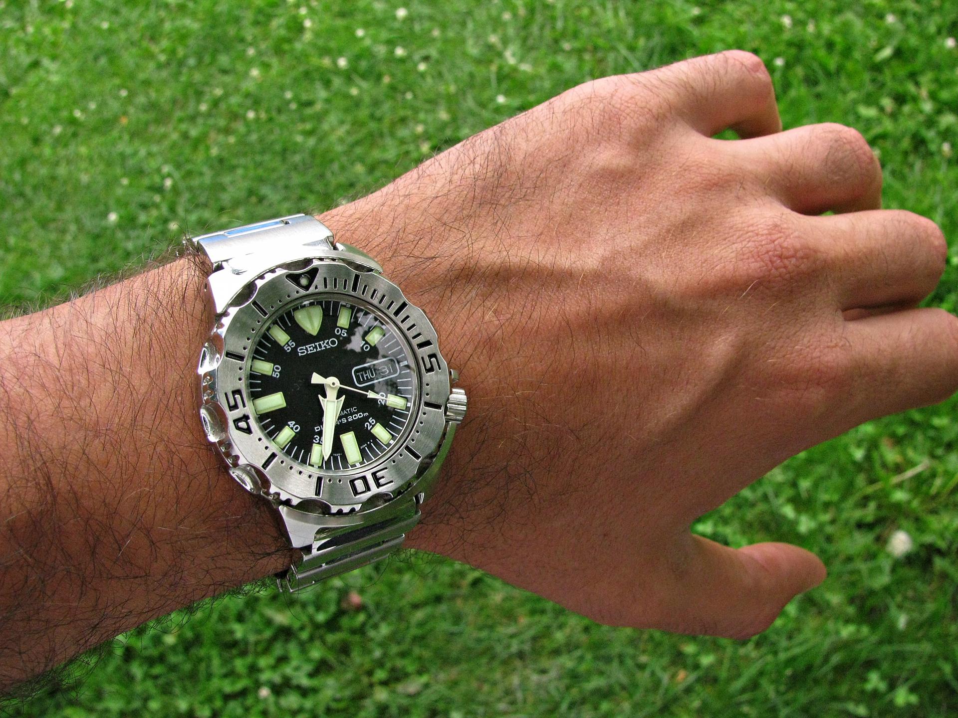 Naziv: IMG_8782 ....jpg, pregleda: 194, veličina: 450,3 KB