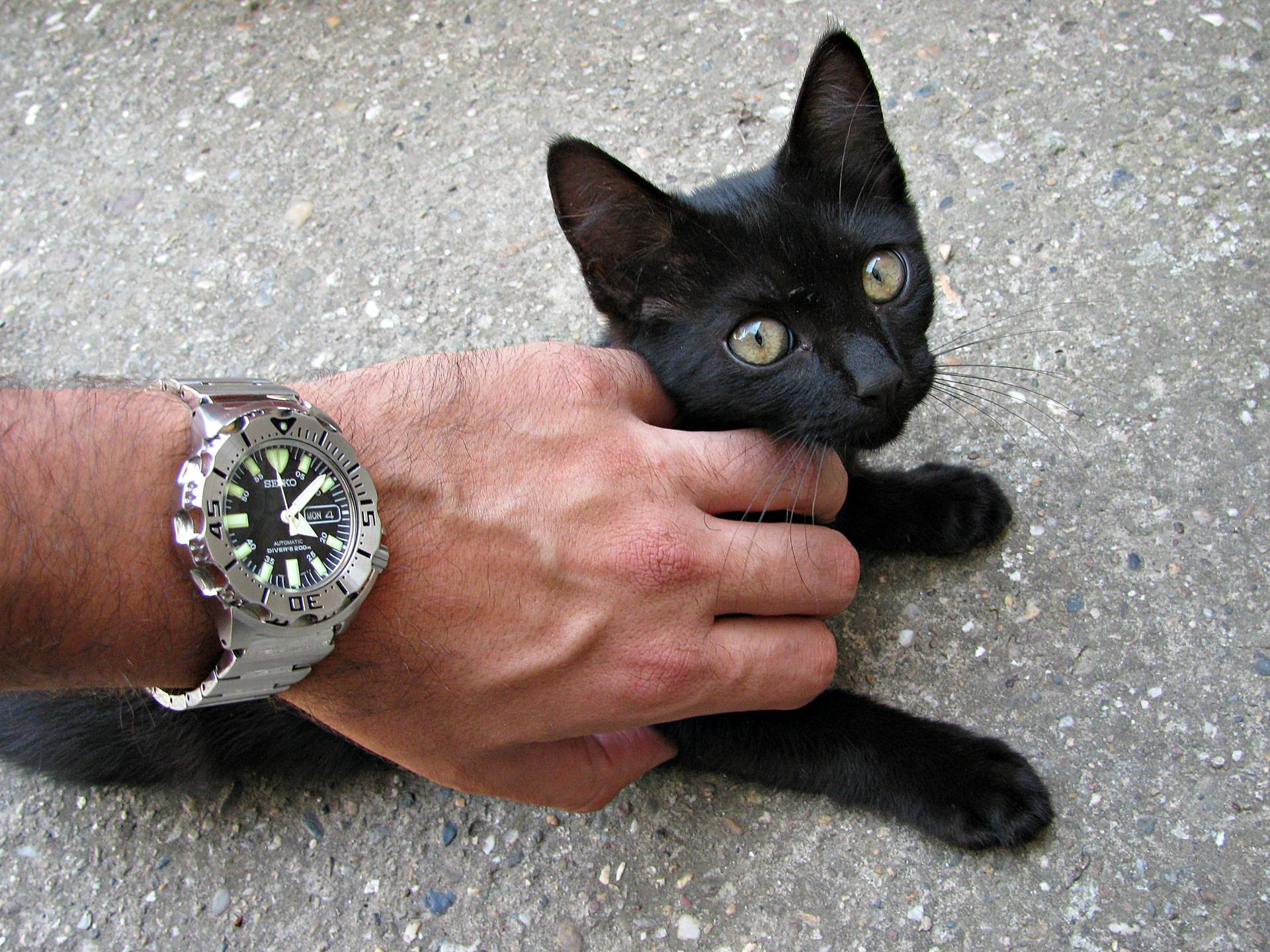 Naziv: IMG_8805 ....jpg, pregleda: 192, veličina: 474,6 KB