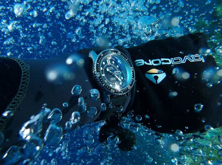 Naziv: 10603562_10150421603114950_1552391588419424392_n.jpg, pregleda: 221, veličina: 82,8 KB