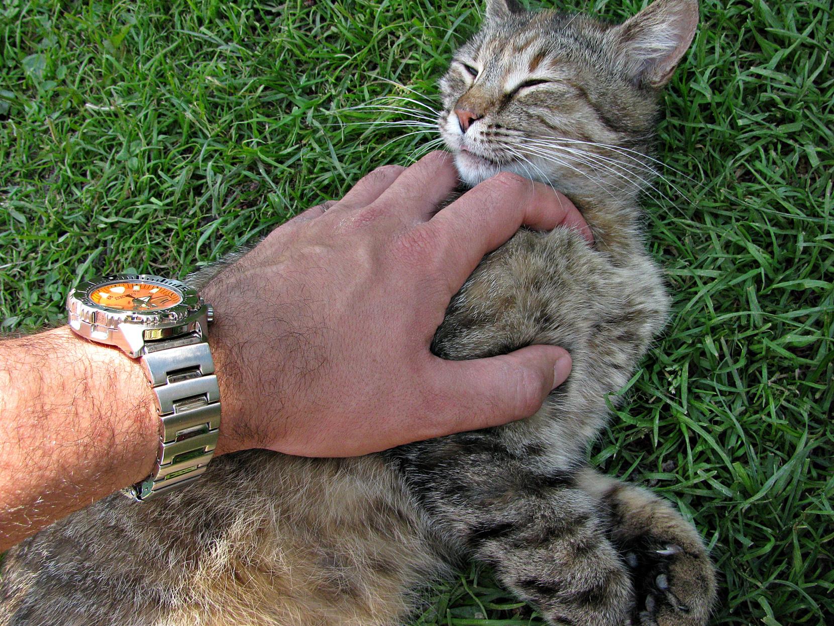 Naziv: IMG_7553 ....jpg, pregleda: 172, veličina: 502,7 KB