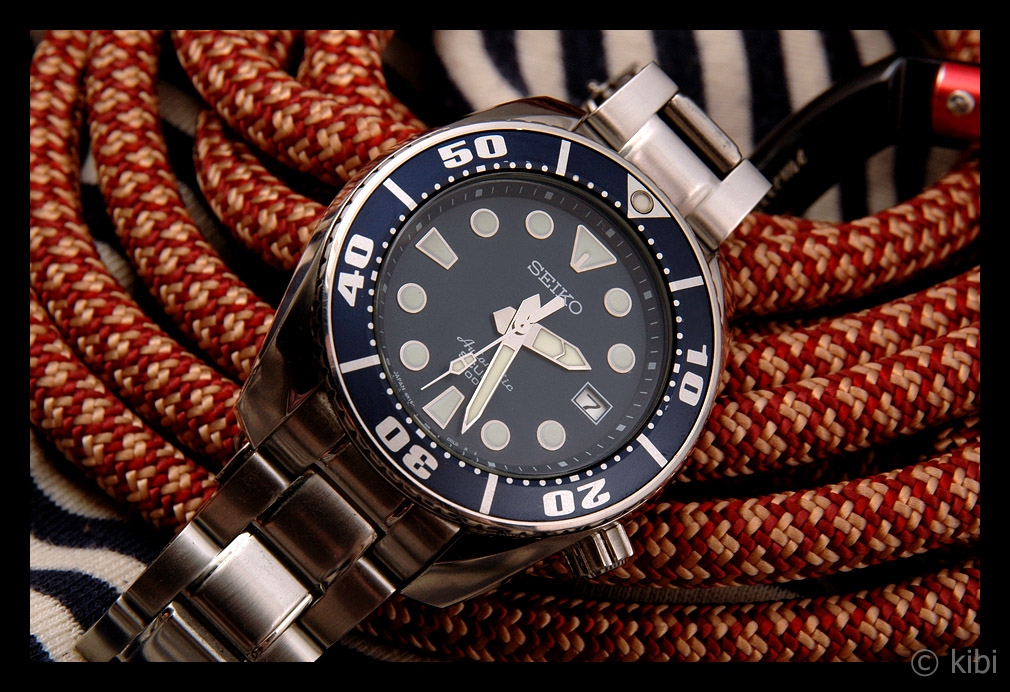 Naziv: DSC_9870.jpg, pregleda: 241, veličina: 385,2 KB