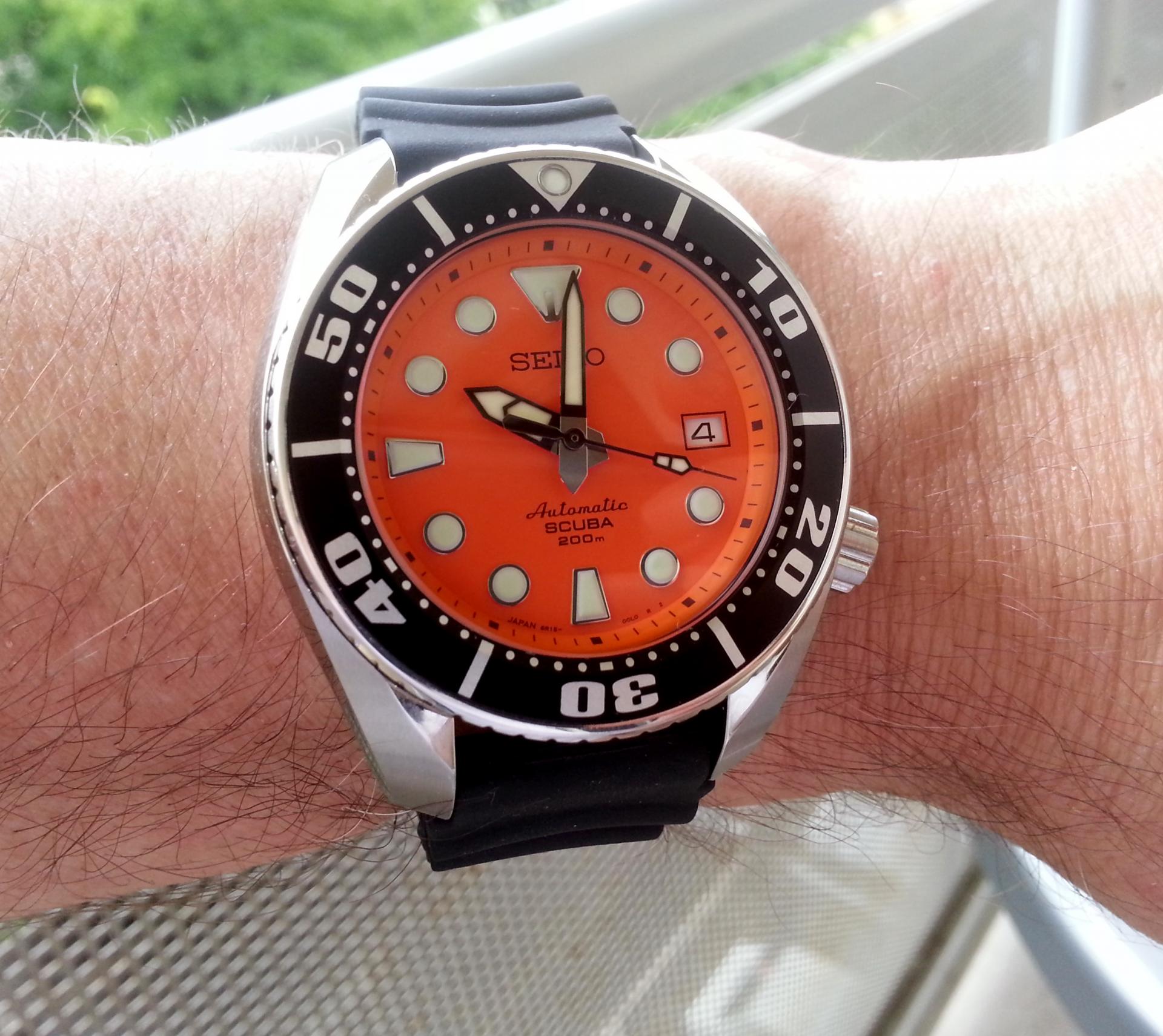 Naziv: 20140904_100121.jpg, pregleda: 182, veličina: 316,2 KB