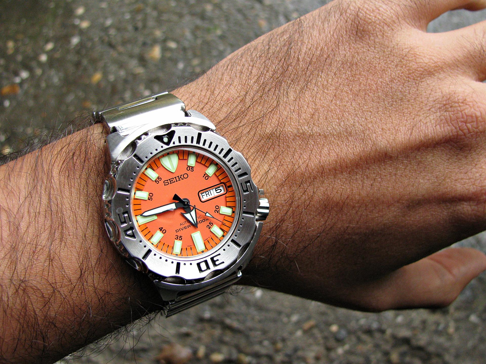 Naziv: IMG_8946 ....jpg, pregleda: 172, veličina: 463,4 KB