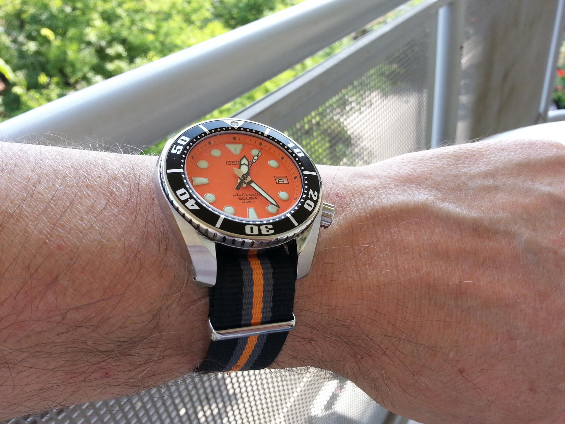 Naziv: 20140908_122402.jpg, pregleda: 192, veličina: 311,7 KB