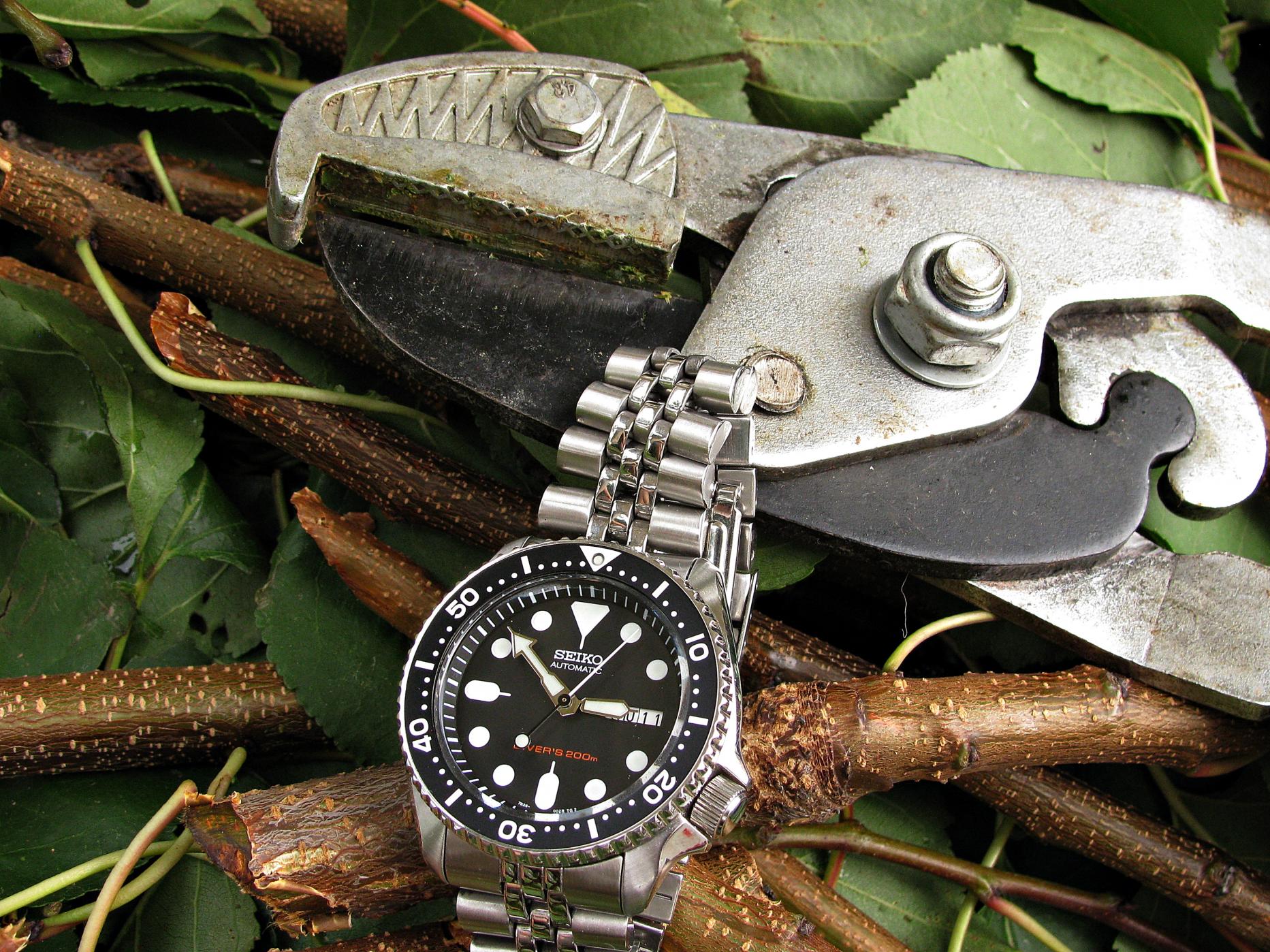 Naziv: IMG_8967 ....jpg, pregleda: 225, veličina: 492,4 KB