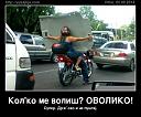 Smešne slike i video klipovi-kol-ko-me-volis-ovoli.jpg