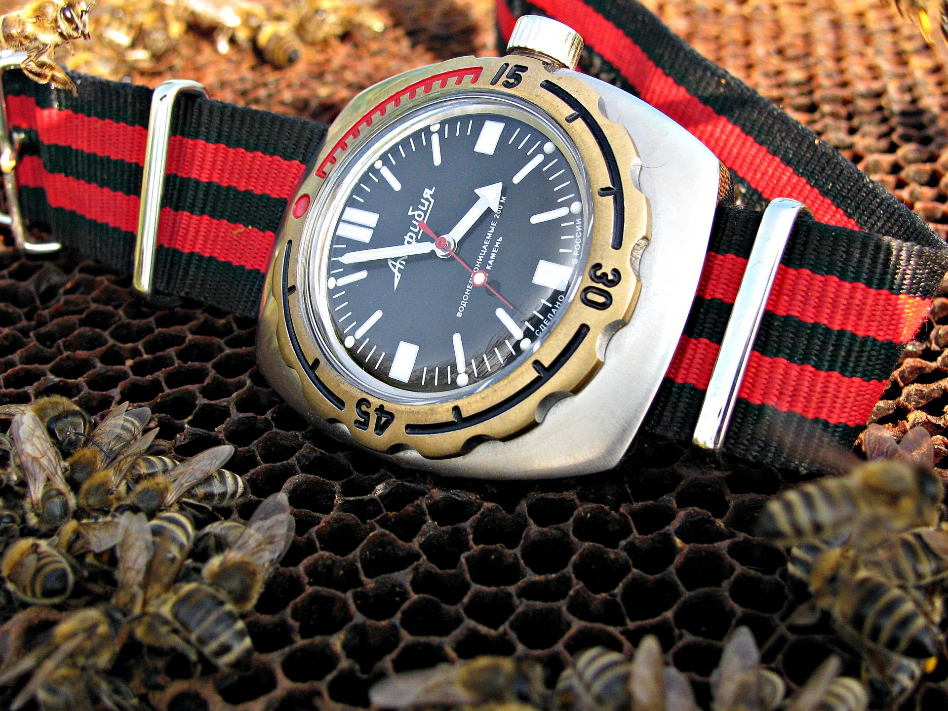 Naziv: IMG_9085 ....jpg, pregleda: 190, veličina: 456,2 KB