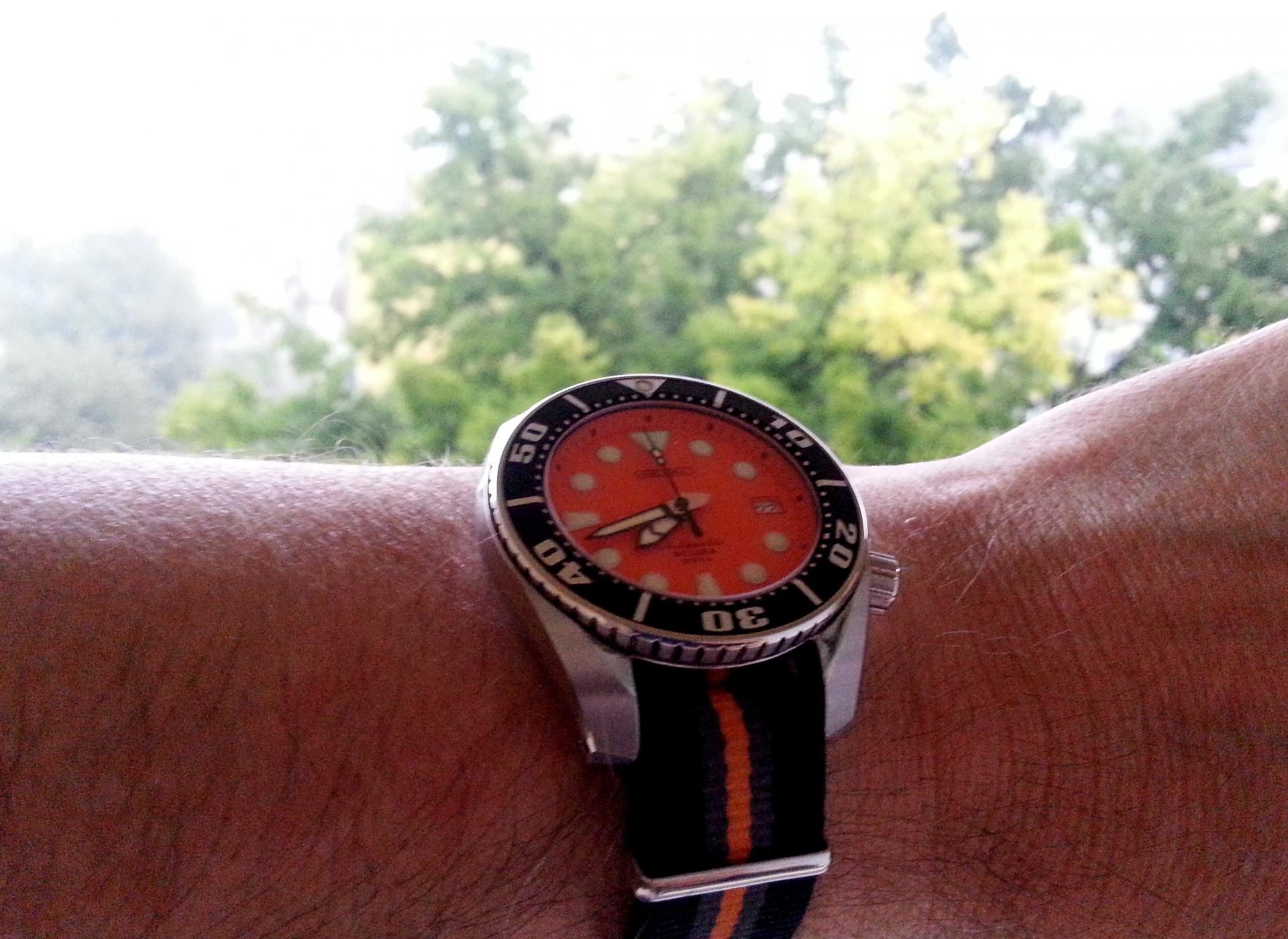 Naziv: 20140922_074208.jpg, pregleda: 220, veličina: 292,4 KB