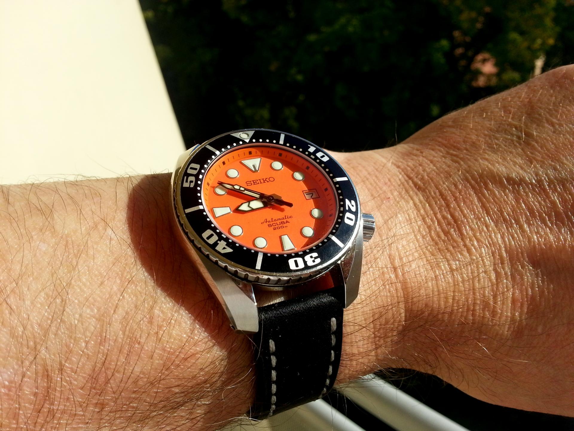 Naziv: 20141007_085058.jpg, pregleda: 295, veličina: 315,1 KB