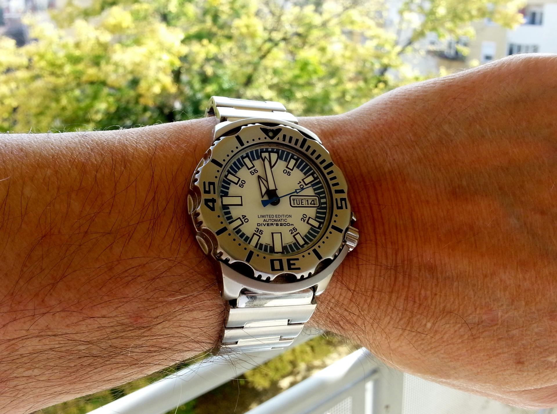 Naziv: 20141014_105838.jpg, pregleda: 345, veličina: 328,1 KB