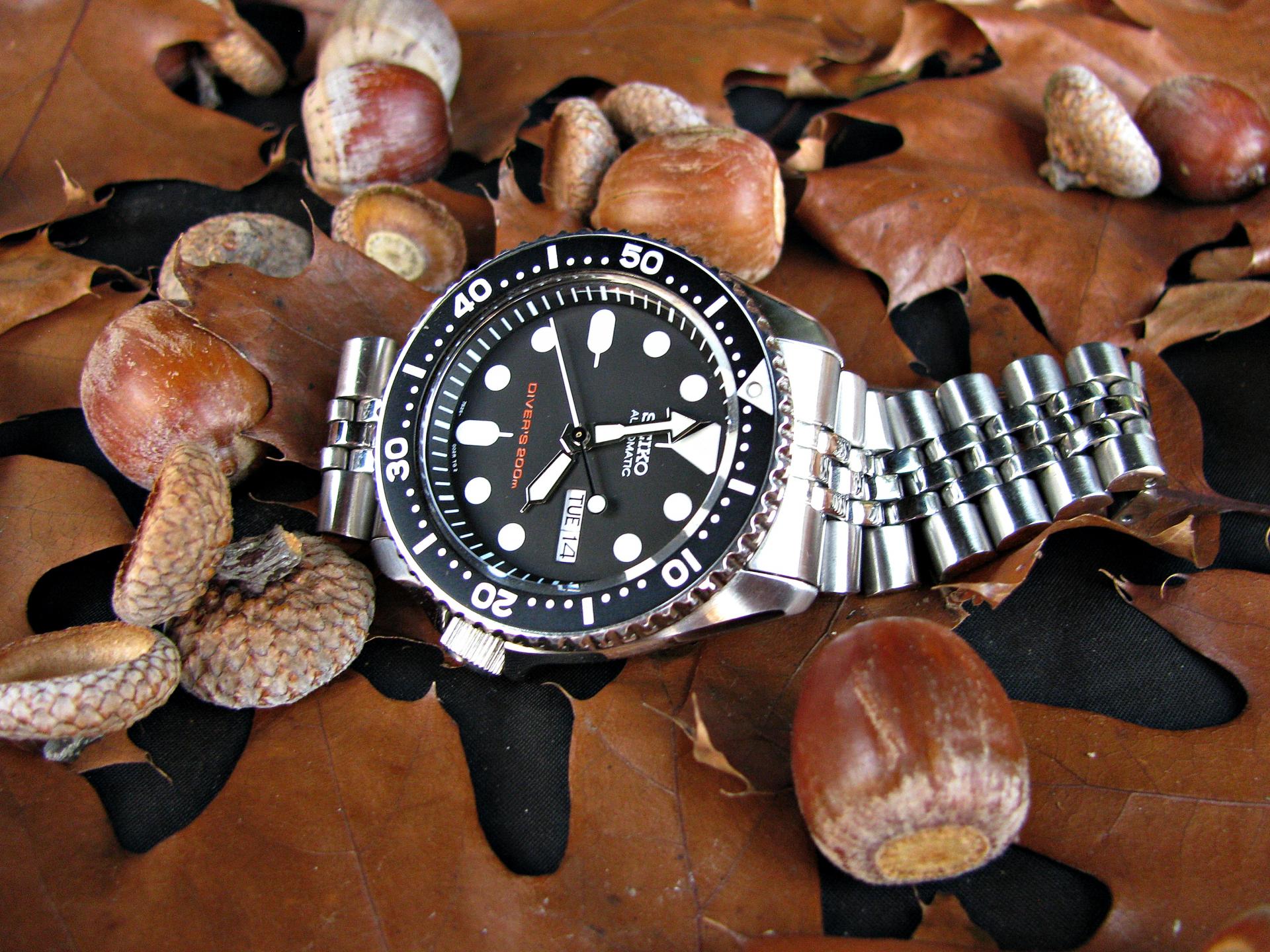 Naziv: IMG_9699 ....jpg, pregleda: 303, veličina: 416,4 KB