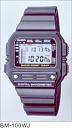 CASIO satovi - Info-bm-100wj.jpg