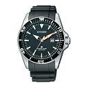 Citizen BN0101 Promaster-bn0101-07e.jpg