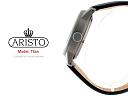 Pilotski satovi 500-600 Eur-aristotitan3l.jpg