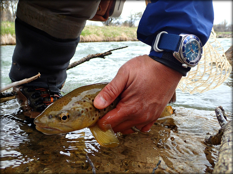 Naziv: i-bJBSvL6-L.jpg, pregleda: 806, veličina: 196,0 KB