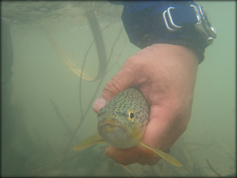 Naziv: i-J2vgC8x-L.jpg, pregleda: 827, veličina: 77,8 KB