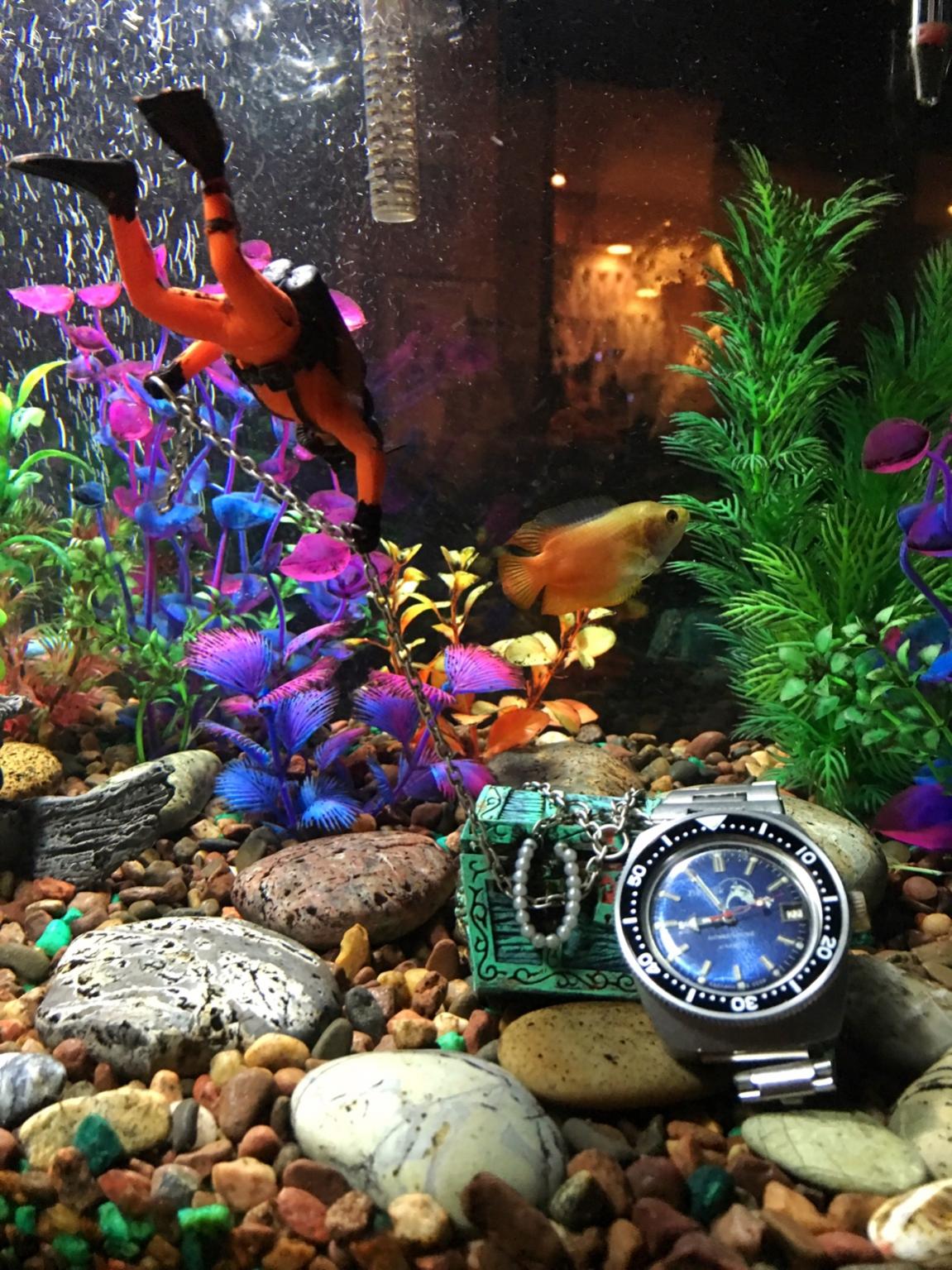 Naziv: e5576b532632f5e5d18cf919c65bff94.jpg, pregleda: 679, veličina: 289,4 KB