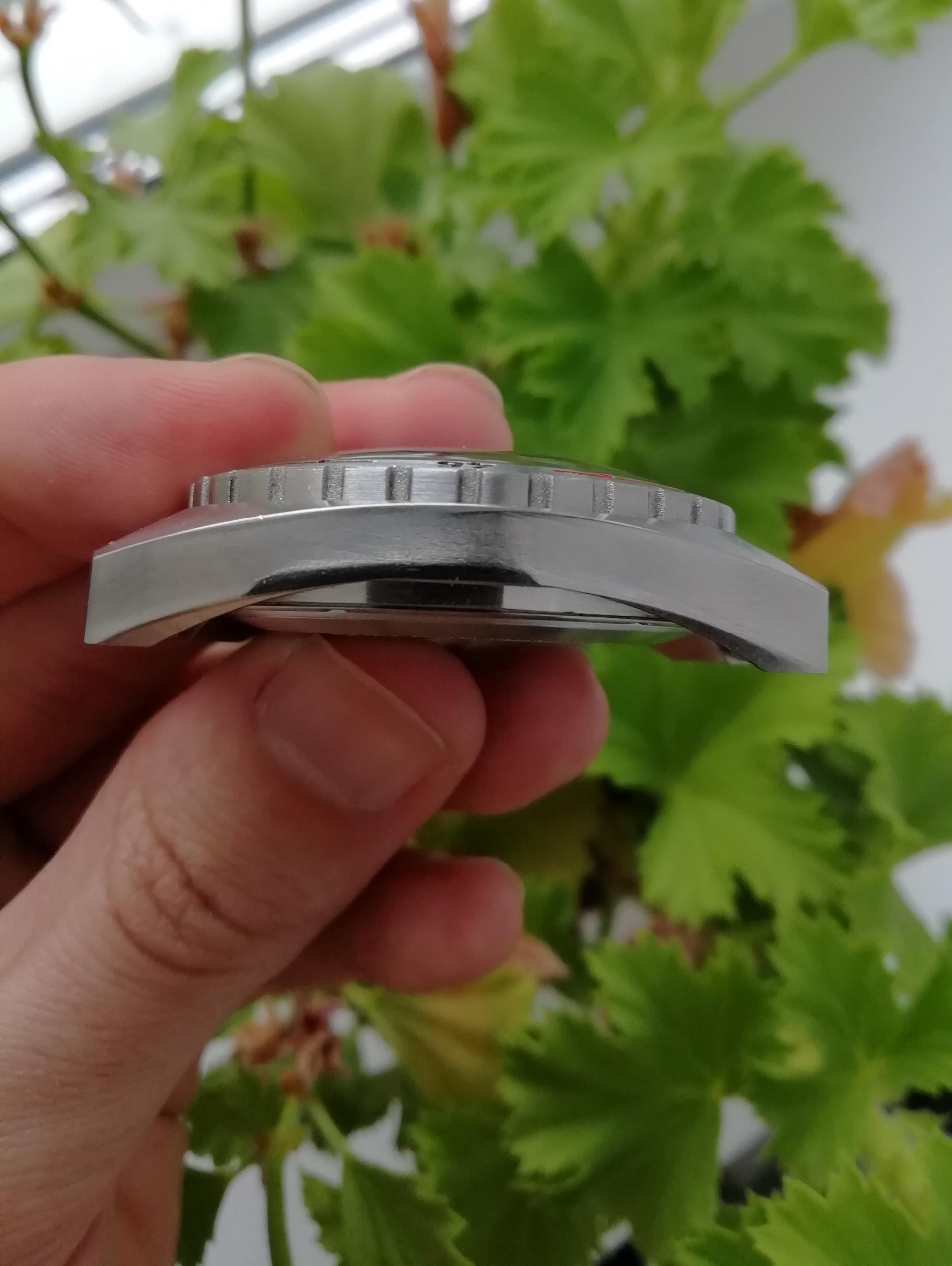 Naziv: IMG_20200711_190015.jpg, pregleda: 449, veličina: 241,6 KB