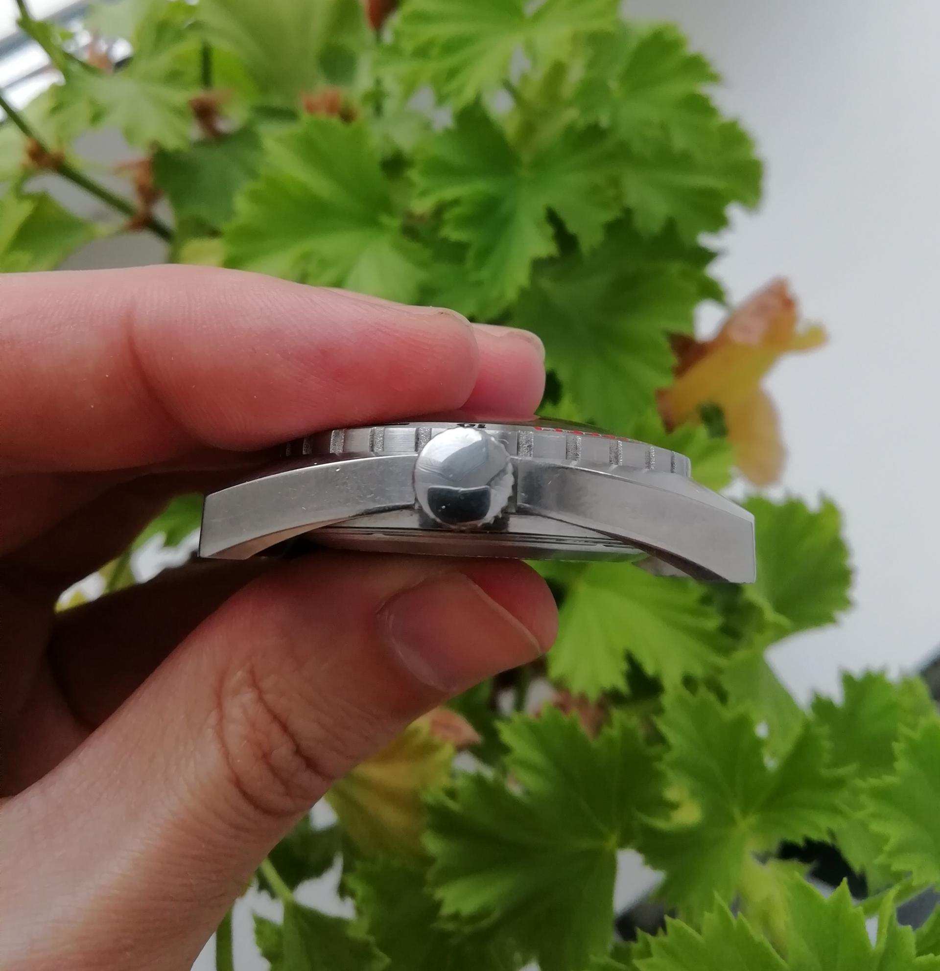 Naziv: IMG_20200711_190020.jpg, pregleda: 443, veličina: 201,9 KB