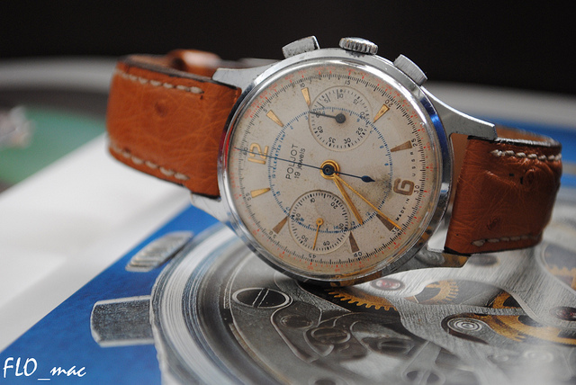 Naziv: 6786838184_d7c67e5dbb_z.jpg, pregleda: 684, veličina: 147,6 KB