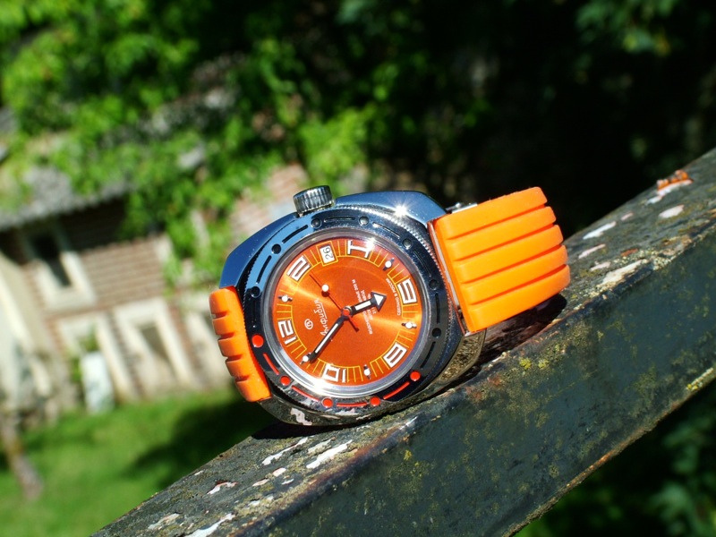 Naziv: 2011-06-26-AMPHIBIA-4.jpg, pregleda: 300, veličina: 141,6 KB