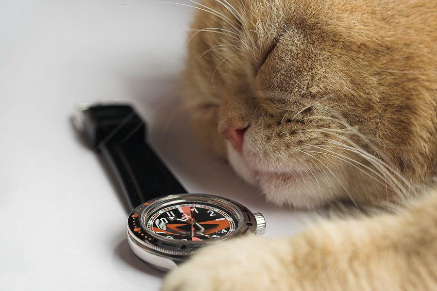 Naziv: 406333_572841929395153_409913594_n.jpg, pregleda: 426, veličina: 69,8 KB