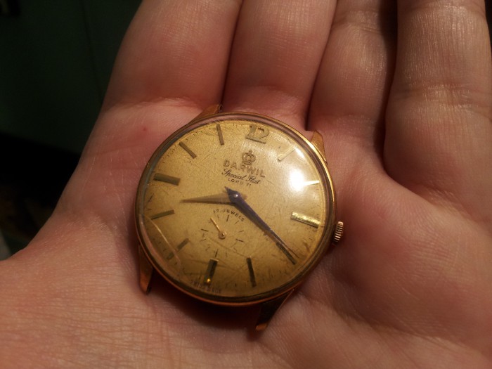 Naziv: Darwil2.jpg, pregleda: 1799, veličina: 63,7 KB