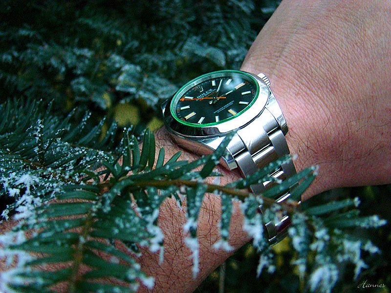 Naziv: 116400wrist.jpg, pregleda: 1089, veličina: 139,6 KB