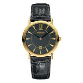 Sat Roamer Limelight | Svet Satova