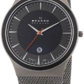 Sat Skagen Gray&Black Titanium | Svet Satova