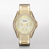 Sat Fossil Riley | Svet Satova